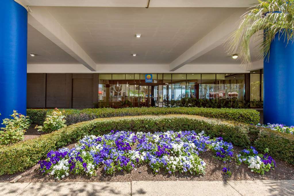 Coastal Hotel & Suites Virginia Beach - Oceanfront ภายนอก รูปภาพ